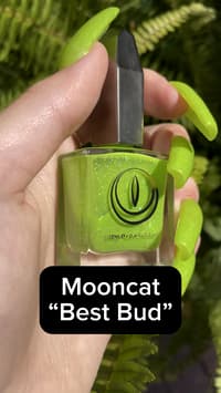 Picture showing Mooncat “Best Bud”