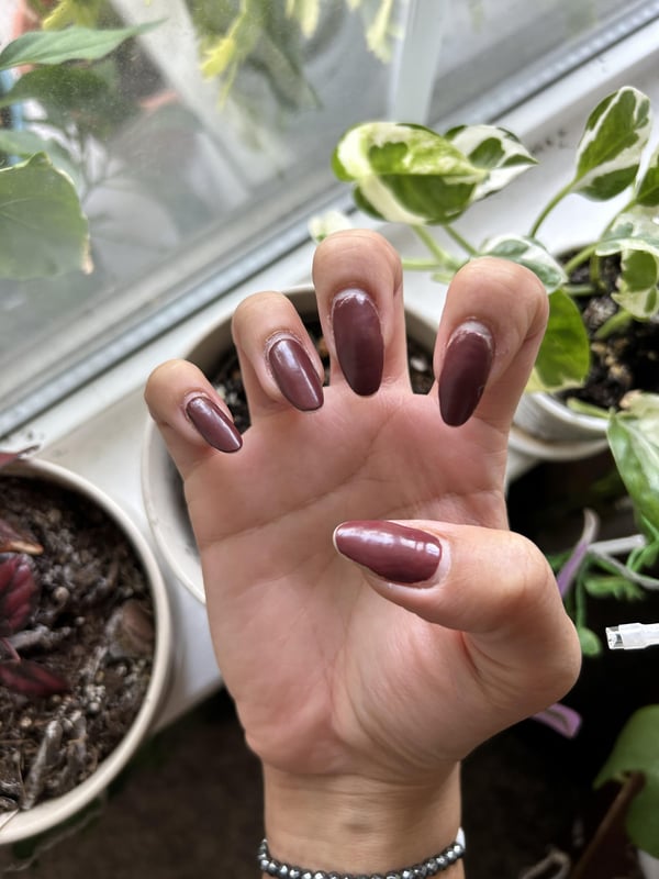 Picture by cookiepip showing 'New Home-done Manicure!' number 4