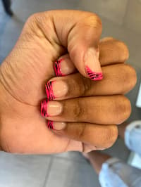 Pink & Zebra