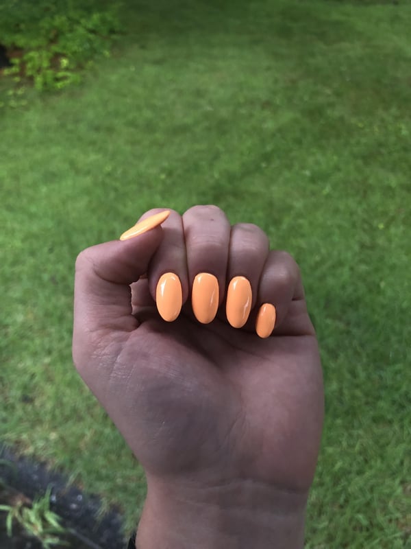 Picture by SherbertOk9255 saying '🍊🧡Needed Something Bright To Make It Feel Like Summer With All This Rain On The East Coast!'