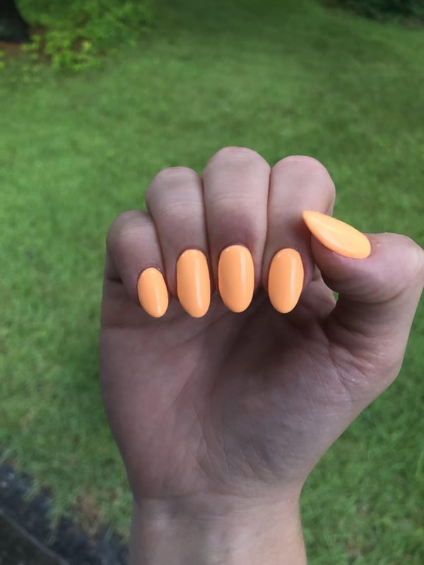 Picture by SherbertOk9255 showing '🍊🧡Needed Something Bright To Make It Feel Like Summer With All This Rain On The East Coast!' number 2