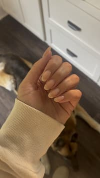 Picture showing Shoutout To Aimeili Builder Gels