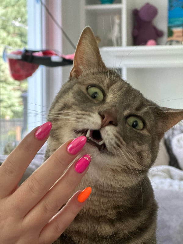 Picture by peachgrill saying 'Kitty Approves Of My Barbie Inspired Nails'