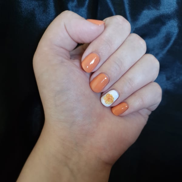 Picture by Jenevieeve saying 'Summery Gels 🧡'