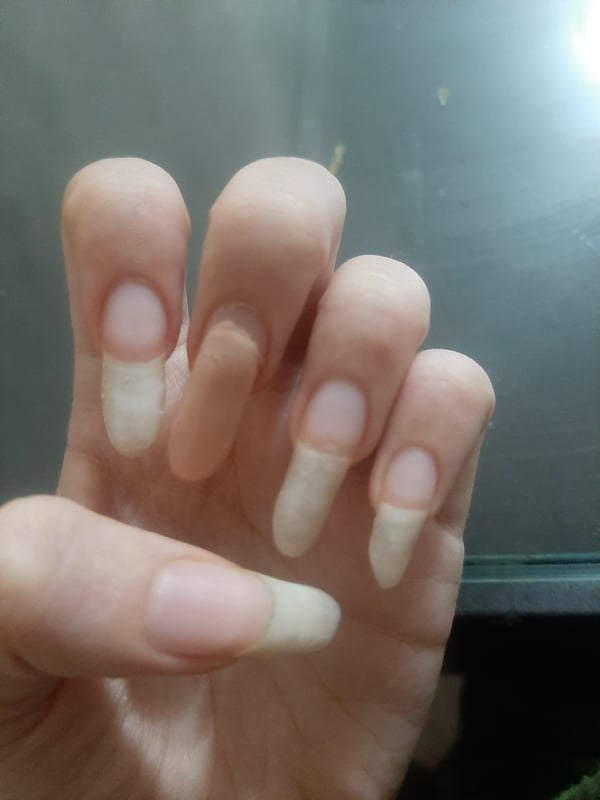 Picture by Ramona_mj showing 'I Think They Are Overdue For A Trim As An Ex Nail Bitter This Is The First Time I've Ever Grown Them This Long Wanted To Share Before I Cut Them All' number 2