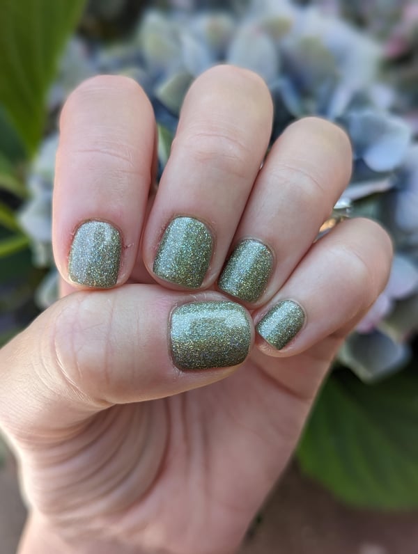 Picture by Content-Flight6371 showing 'ILNP In The Woods 🌲💚' number 3