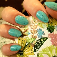 Mint Chocolate Chip Ice Cream Polish