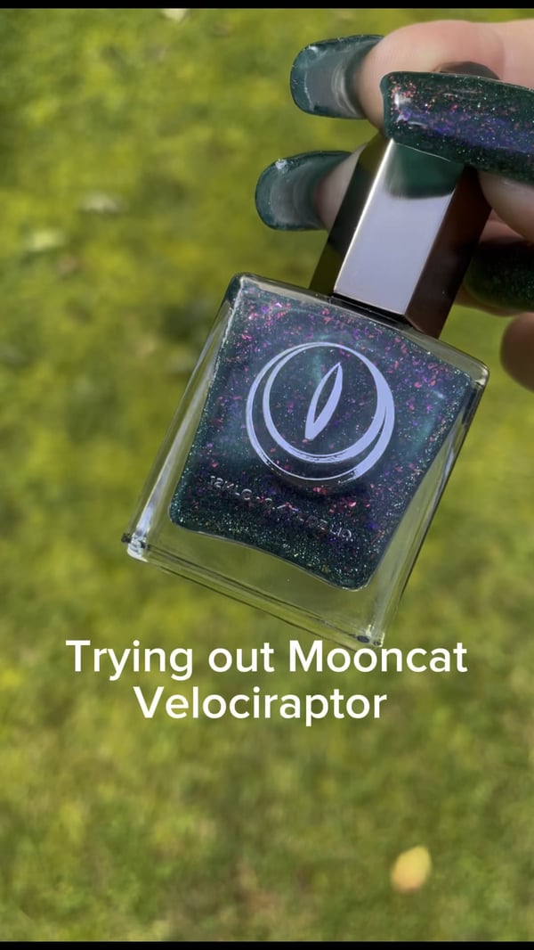 Picture by StrangeMango775 saying 'Mooncat Velociraptor'