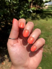 Bright Orange