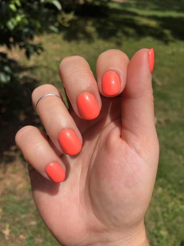 Picture by justalapforcats showing 'Bright Orange' number 2