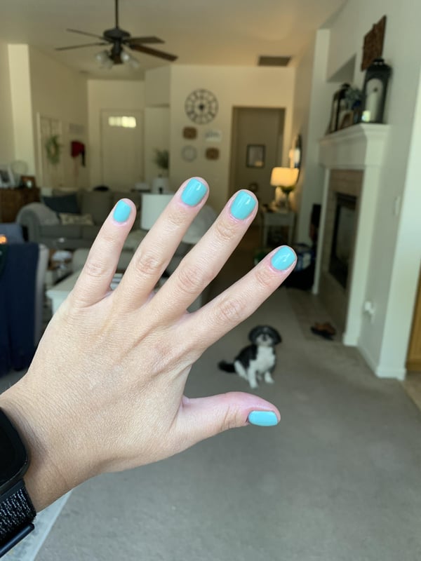 Picture by ChelseaRC saying 'Felt Like This Color Was Nice For The End Of Summer! Plus, It Matched My Shirt Today. Bonus Doggo.'