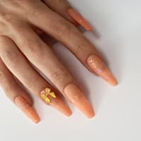 Apricot Color Set