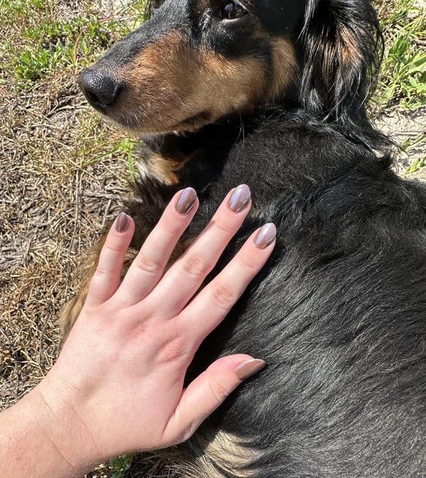 Picture by laflamabIanca showing 'Izzy Approves Of Glazed Chocolate Nails. The Better To Scratch Her With 🙃' number 3