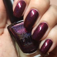 Last But Not Least! - ILNP 'Black Orchid'