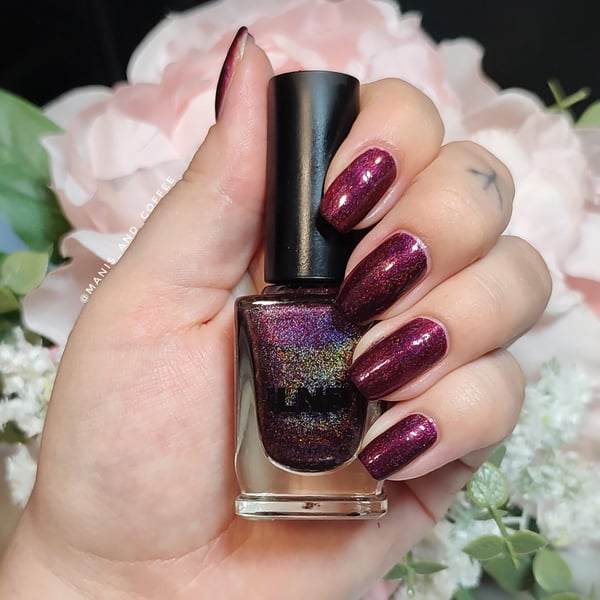 Picture by irycente93 showing 'Last But Not Least! - ILNP 'Black Orchid'' number 2