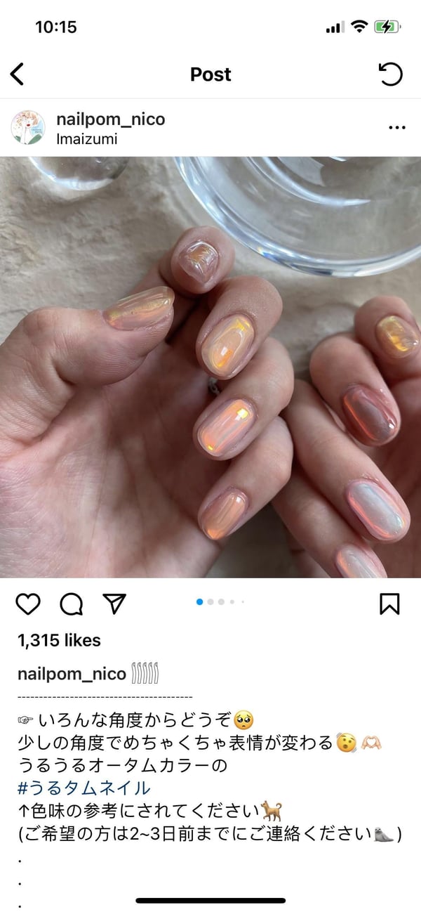 Picture by LizLizLiz00 showing 'How Do You Do This? Credit IG: Nailpom_nico' number 2