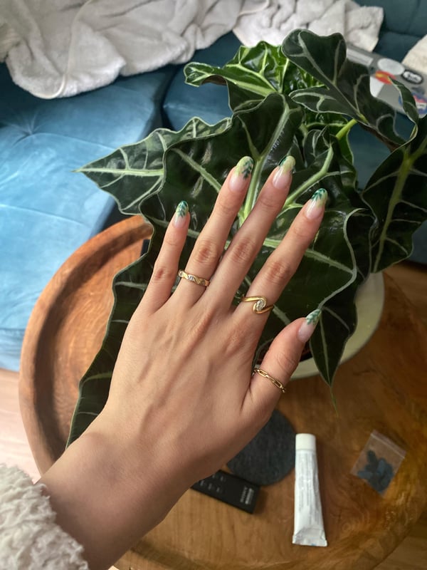 Picture by Lorenorsara saying 'Just Finished My Plant Inspired Nails 🍃 Since It’s Rainy And Gloomy Where I’m Living :'