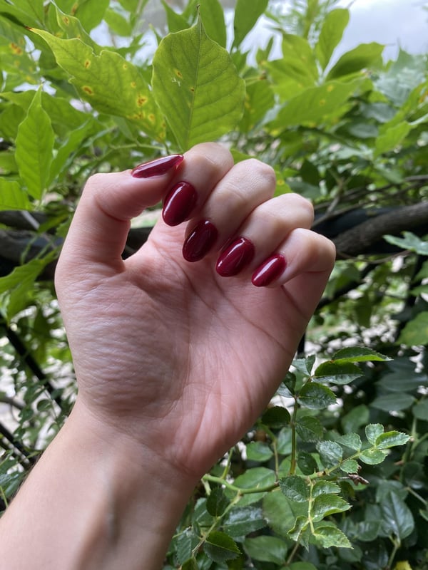 Picture by MaialinaRosa showing 'Red Nails For The First Time 🌹❤️ How Did I Do?' number 1